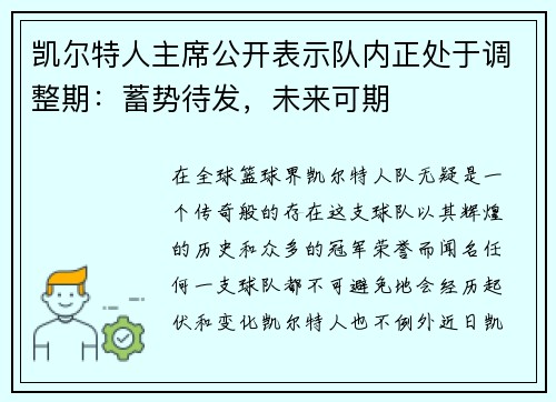 凯尔特人主席公开表示队内正处于调整期：蓄势待发，未来可期